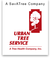 Urban Tree Service